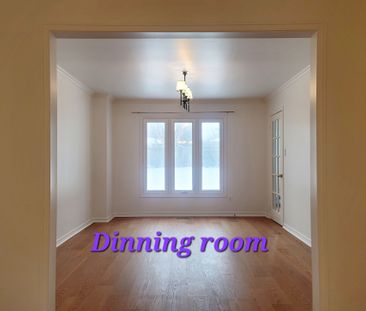 For Lease - 29 Worthington Avenue, Richmond Hill, Ontario - Photo 4