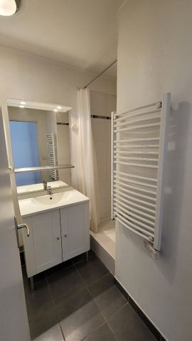 Location Appartement 1 pièce 17m² - Photo 4