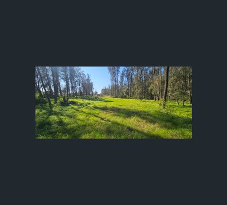 29 Roman Street, Leppington, NSW 2179 - Photo 2