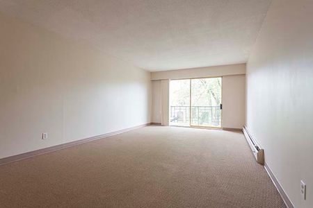 Holly Tree Apartments - 1 Bedroom - Photo 2