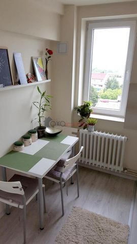 Apartament 2 camere de inchiriat in Cluj-Napoca, Gheorgheni ID 4715 - Fotografie 4