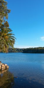 4/20 Waterloo Street, Narrabeen NSW 2101 - Studio For Rent | Domain - Photo 4