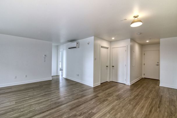 9675 Av. Papineau - Photo 1