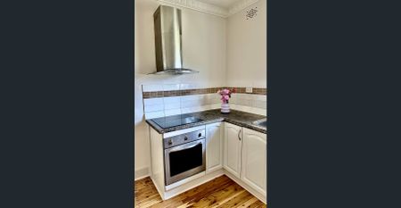 UNWIND in the BATHTUB, Enjoy THREE sun-filled bedrooms, plus newly renovated SPACIOUS kitchen and bathroom, PLUS spare toilet - Photo 4