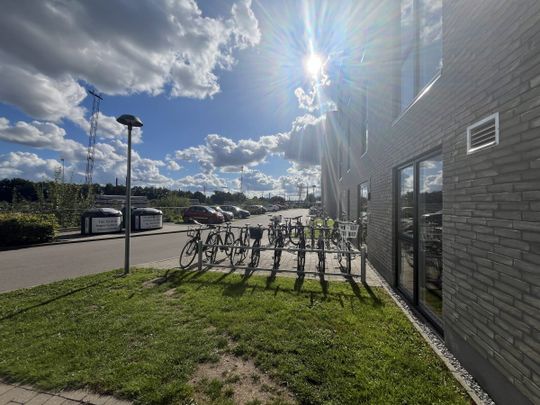 Forchhammersvej 9D, 1. 4. , 9000 Aalborg - Foto 1