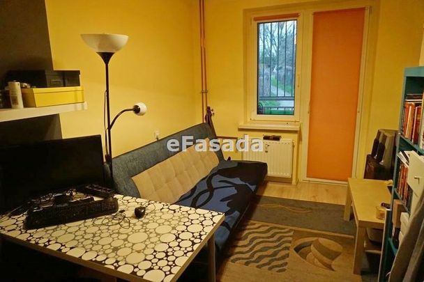 EFS-MW-244 Mieszkanie na wynajem - Zdjęcie 1