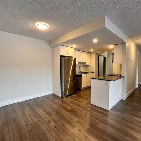 Newly Renovated 3 BR/1.5BA near SFU, Lougheed Mall, Skytrain Statin - Photo 3