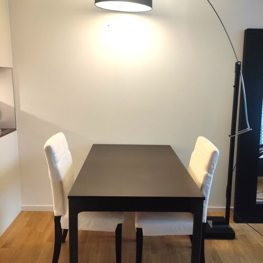 Modernes und sehr helles Studio im Zentrum von Wettingen - Photo 1
