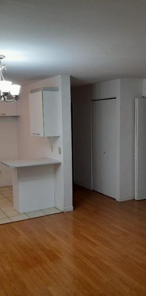 Lachine - Grand 4 1/2 - Disponible 1er Juillet** - Photo 1