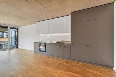 Mieten ohne Kaution: Moderne 4.5-Zimmer-Wohnung in Terrassenhaus - Photo 2