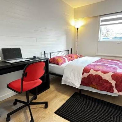 Shared Furnished Room - Photo 1