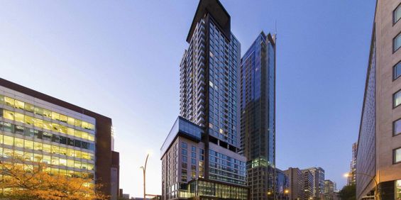1 chambre - 280 René-Lévesque Ouest, Montréal - Photo 3