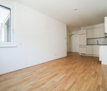 Kirschblütenpark - Wohnung perfekt für Pärchen - Nähe Donauzentrum - Foto 3