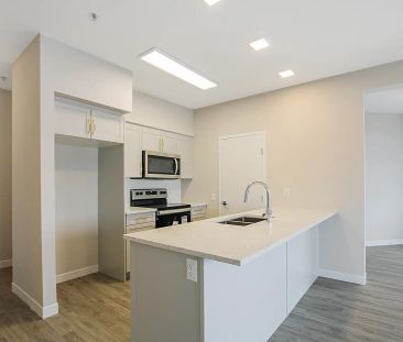 399 Stan Bailie — Padua - Photo 5