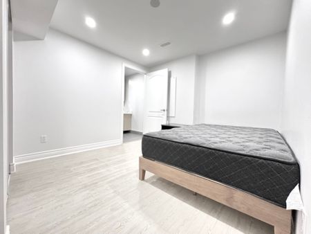 For Lease - 335 Shirley Drive Unit# Bsmt, Richmond Hill, Ontario - Photo 3