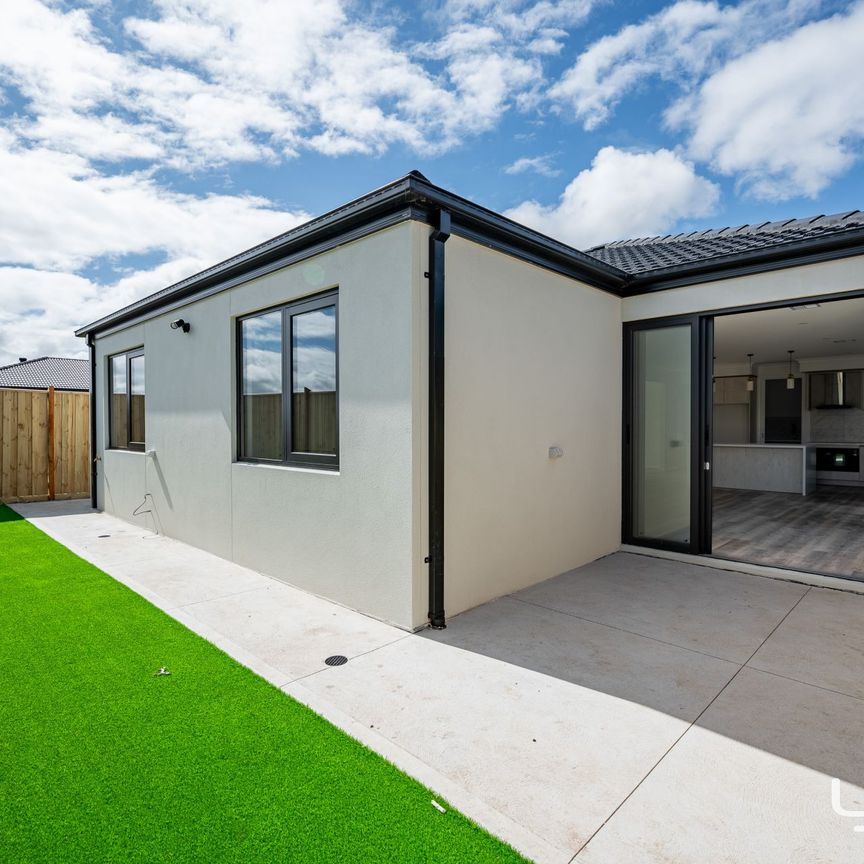 The Perfect Home - Photo 1