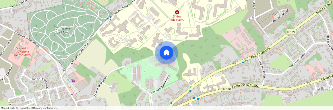 Parc de la Sablonnière, 16, 7000, Mons