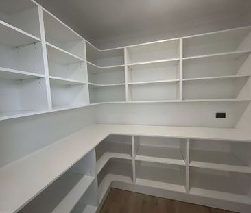 Huge Modern Luxury - Photo 1