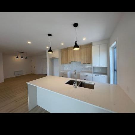 Grand 5 1/2 à louer- Saint-Dominique - Photo 1