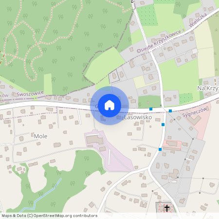 Wielicki, Wieliczka, Sygneczów