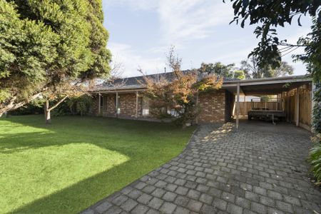 6 Month Lease! - Photo 4