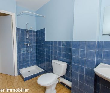 Location Appartement 1 pièce 32m² VINAY 38470 - Photo 5