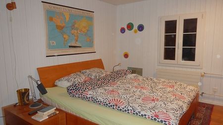 3 Zimmer-Wohnung in Wald (ZH), möbliert, auf Zeit - Photo 2