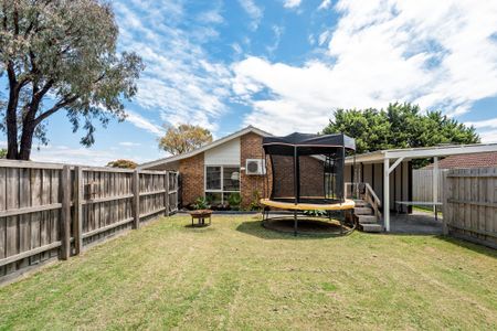 Neat, Sweet and Petite! - Photo 3