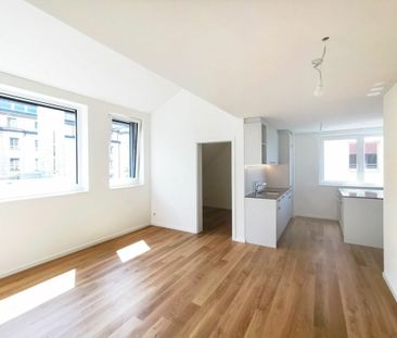 Kleinriehenstrasse, Basel - Foto 1