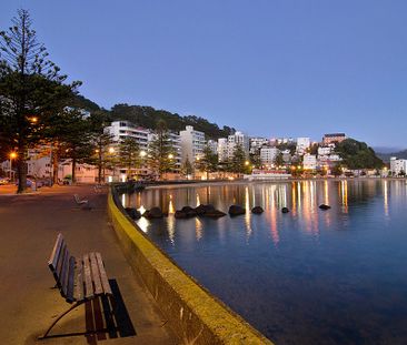 3D/20 Oriental Terrace, Oriental Bay Wellington 6011 - Photo 6