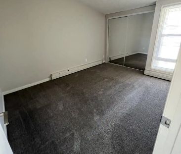 7715 159st — Bi-Level 2 Bedroom One Bath - Photo 5
