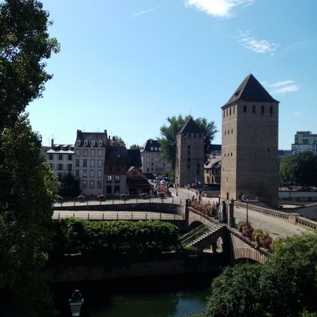 Appartement 1 pièce à Strasbourg - Photo 4