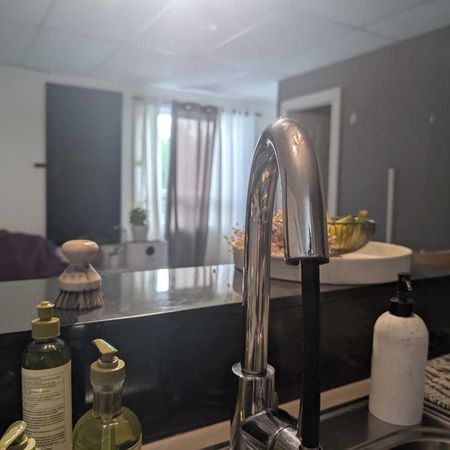 Logement 1 chambre et 1 salle de bain- animaux acceptés - Photo 4