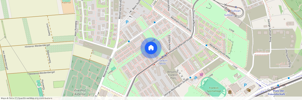 Thomas-Jefferson-Straße 45, 68309, Mannheim