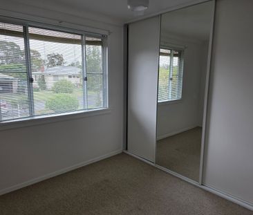 Cute as a button! - Photo 1