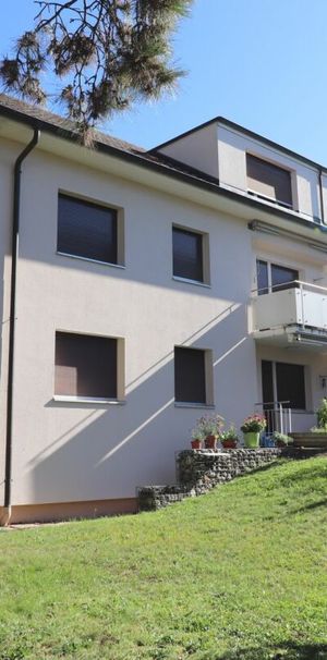 Nähe Wenkenpark an ruhiger Lage - gemütliche 4-Zimmerwohnung mit Gartensitzplatz - Photo 1
