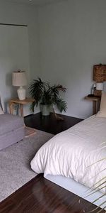 Centrally Located Studio Apartment - Photo 4