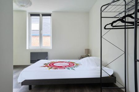 Marché Roommate 7 Bedrooms at Lille - Photo 4