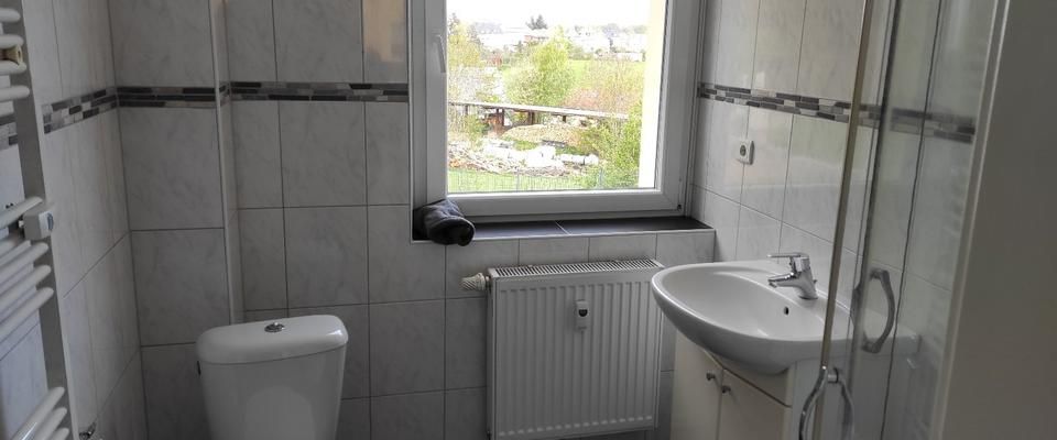 2-Raum Mietwohnung 47m² Mieterterrasse mit Grill 08064 Zwickau - Foto 1