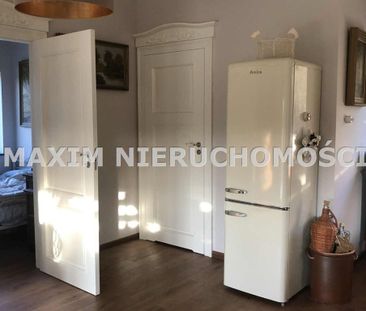 Płoński, Płońsk, Ilinko - Zdjęcie 6