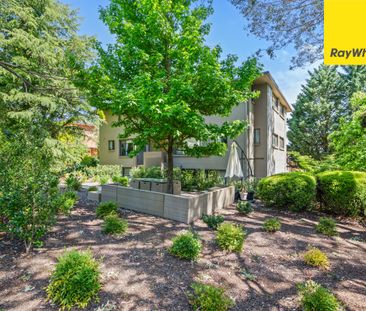 1/150 Monaro Crescent, Red Hill ACT 2603 - Apartment For Rent | Domain - Photo 6