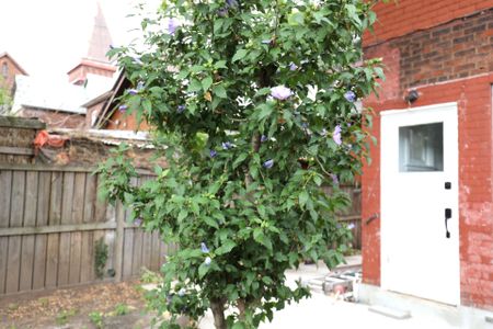 For Lease - 148 Victoria Avenue Unit# Upper level unit, Hamilton, Ontario - Photo 4