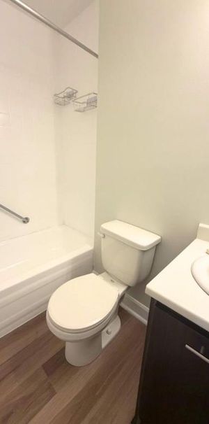 1 CH - 1 SDB - Gatineau - $1,349 /mo - Photo 1