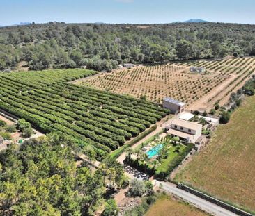 3 room luxury House for rent in Ariany, Balearic Islands - Photo 3