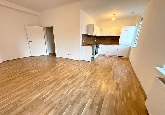 Perfekter Grundriss - neu sanierte 3-Zimmer-Wohnung Nähe Donaulände und Linzer Tabakfabrik! - Foto 1