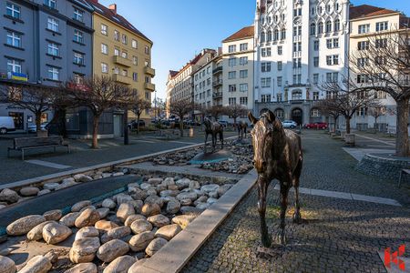 Pronájem bytu 1+kk 36 m² - Photo 2