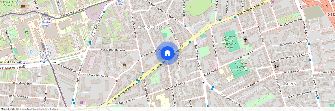139 Avenue Roger Salengro 69100 Villeurbanne