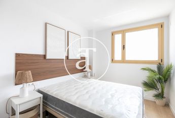 Apartment for rent with 2 bedrooms and studio with 2 bathrooms near the beach