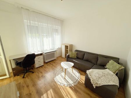 Hajdú-Bihar megye, Debrecen - Fotó 3