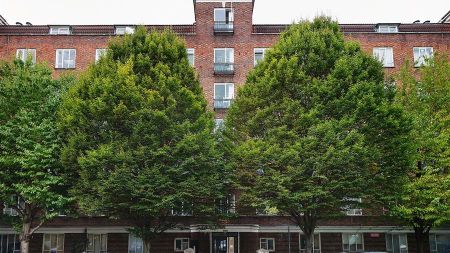 Iron Mill Road, SW18 - Photo 5